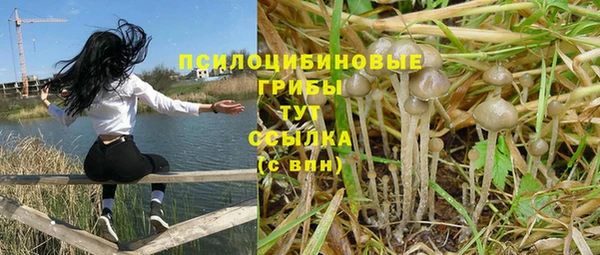 2c-b Алзамай