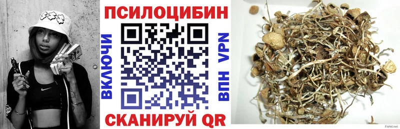 Псилоцибиновые грибы Magic Shrooms  гидра ССЫЛКА  Лакинск  закладка 